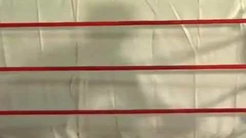 Flash Vs Drake