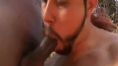 homosexual males nailing Outdoor