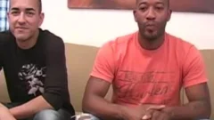 homosexual dilettante semen 3 - Scene 3