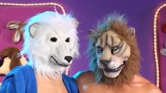 Animal Love