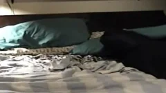 PBear gets hellos Tool sucked Dry By Wolf