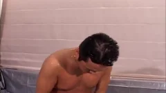 Bear need fucking hard