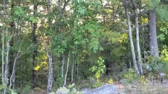 Girlfriend Catches Me jerking off At Camp