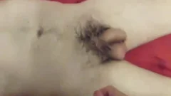 An Evening With Bear