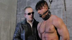 The Taming Of A stud-horse