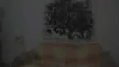 Sendo Enrabado Pelo Macho Safado