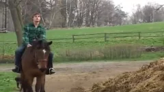 Just Horsing About