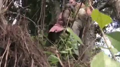 Bear Jay Black sucks dick and fucks