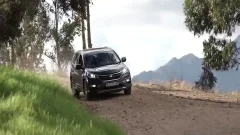 boyz Having fun In The Farm