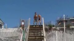Blu Kennedy And Zack Alexander