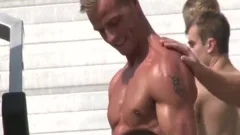 24 twinks In Action