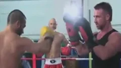 Three boxers training