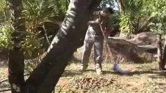 Outdoor Brazilians