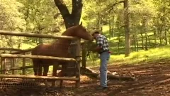 Back To Nature, Sex On The Farm