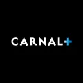 CarnalPlus avatar
