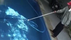 wicked Brothers doggystyle Pov