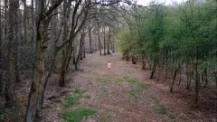lengthy in nature's garb Walk outdoors. Part two.1 Of three. Comments Plz. Thanx