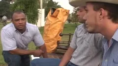 Ride  Em Cowtwink