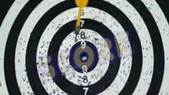 large anal Score