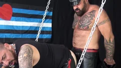 Bareback That Hole: Sucking and F**king Bearded Hotties