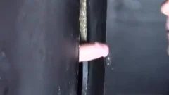 Solo young mature sucking cock