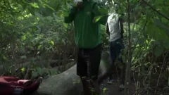 Park Sex - Andre Donovan & Blazinbennyboi