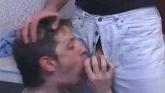 gay boyz sucking cock On Web cam