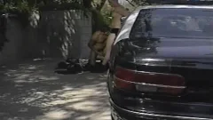 Cop craving plowing hard