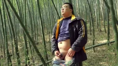 Chinese Bear 2