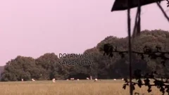 Dolan Wolf And Kayden Gray (WM P1)