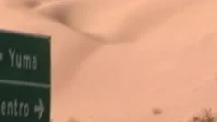 darksome lad disrobes And Shows Off His gorgeous wazoo In sofa