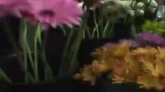 Orion Cross sucks Off Erec Estrada WhelLOLe getting pooper fucked