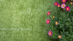 Playing With Water