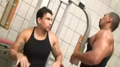 extraordinary gay Interracial Sex