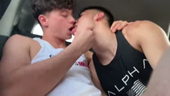 Risky Blowjob And Facial In Car Ride
