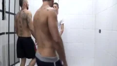 Asi Se Usa A Una Perra