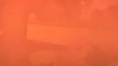juicy men Making Love With panalion