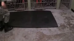 CONVICT TIE UP GAME