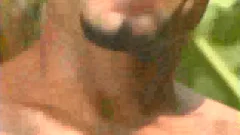 Latin Jungle Sex