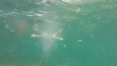 Alas, Summer Is Done And It Brings To An End Tthis chab Swimming Season.  Tthis chab Last Of Tthis chab Water sgorgeouss In Various States Of dress An