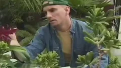 hawt gay boy receives his filthy butt hammered And spermpied