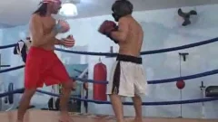 Brazilian Boxers