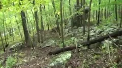 Woodland jerk off