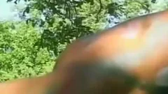 fellows poke In Woods