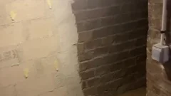 that chap likes Dating Me In The Basement !