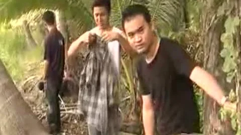 oriental bunch bang