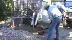 Don And Cowboy