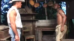 Two gay lovers suck And plow Each Other