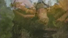Latin Jungle Sex