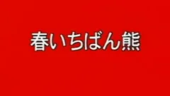 JPN DADDY
